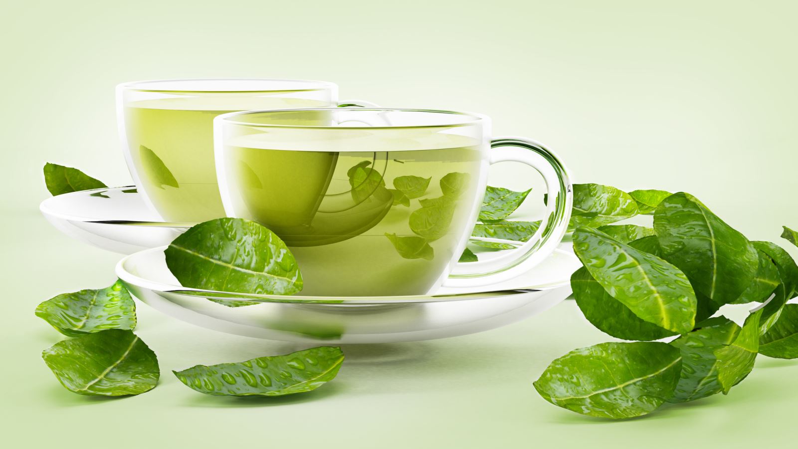 trà xanh 15 loại thảo mộc giúp giảm cân hiệu quả